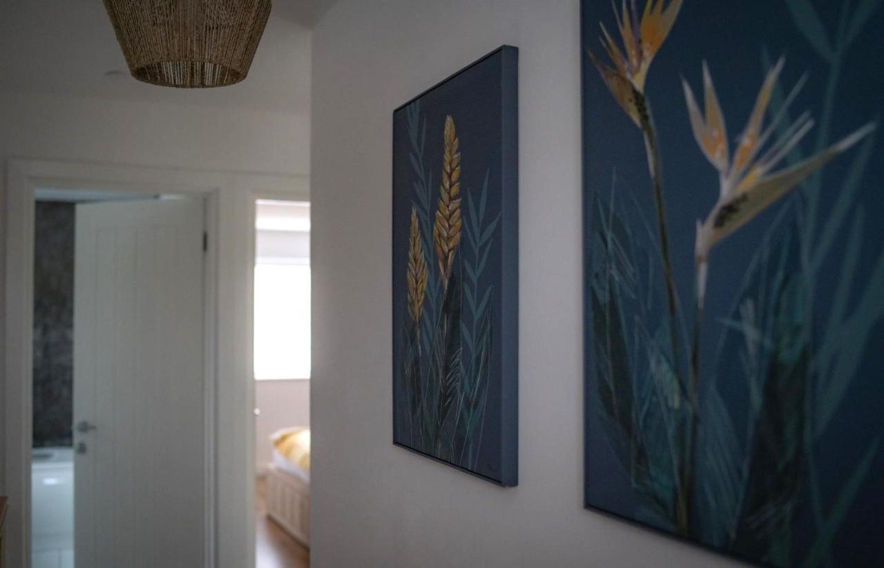The Red House Modern Stylish Home From Home Walking Distance To Cardiff Bay And City Centre With Parking 외부 사진