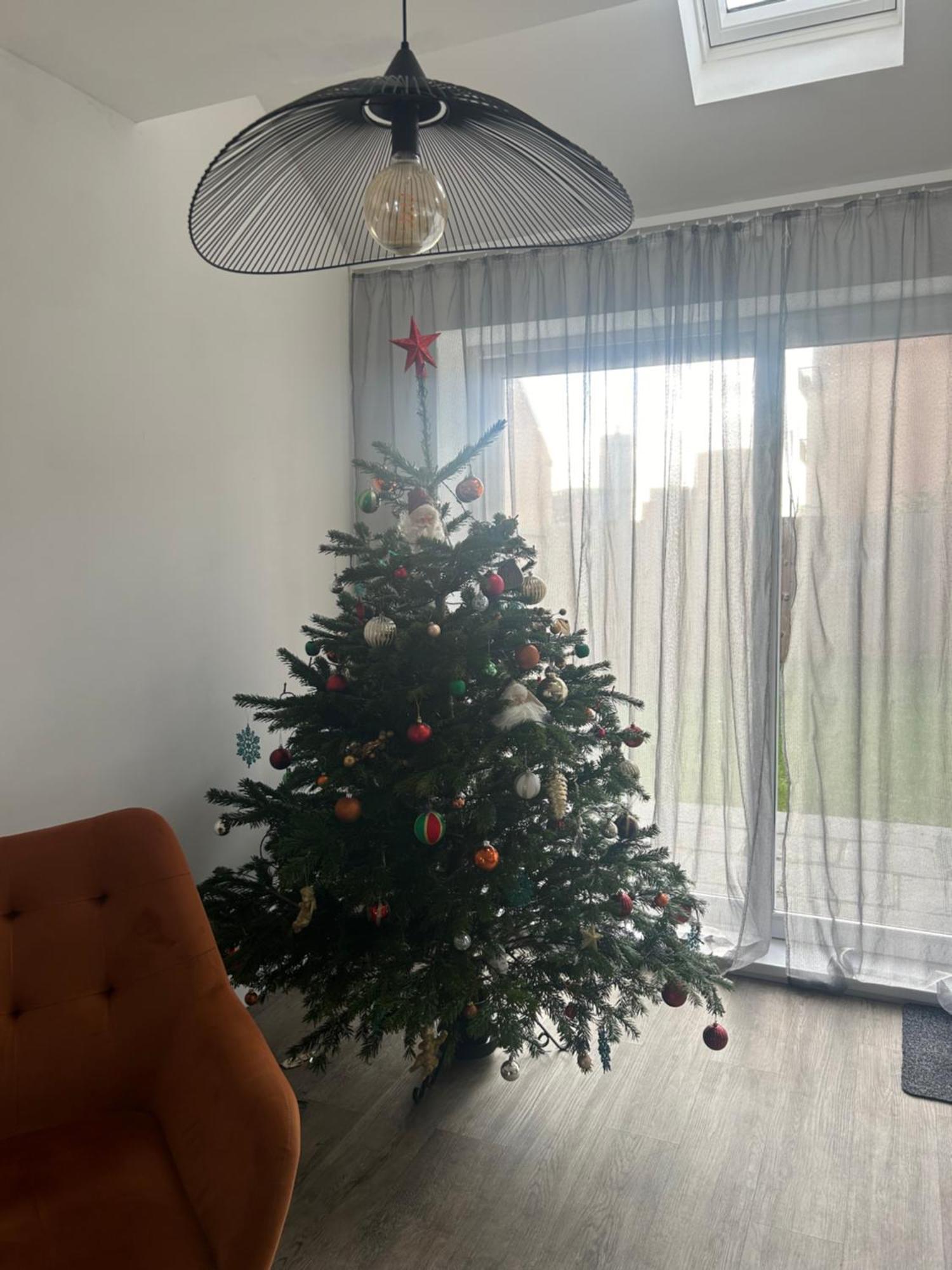 The Red House Modern Stylish Home From Home Walking Distance To Cardiff Bay And City Centre With Parking 외부 사진